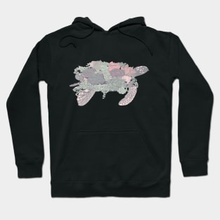 Succulent - Turtle Hoodie